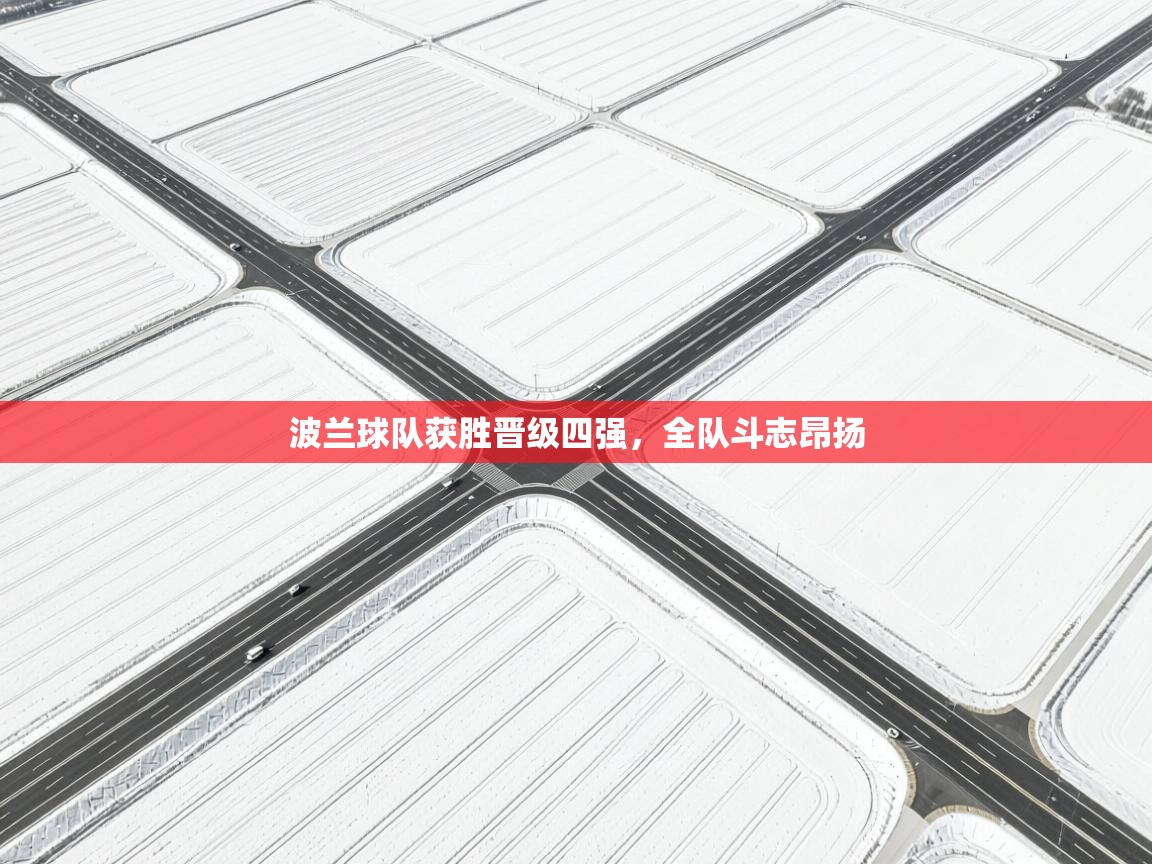 开云kaiyun体育app入口登录官网-波兰球队获胜晋级四强,全队斗志昂扬 第3张