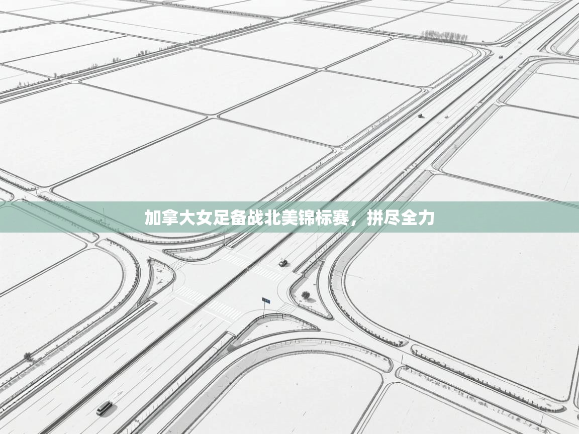 开云体育直播-加拿大女足备战北美锦标赛,拼尽全力 第1张