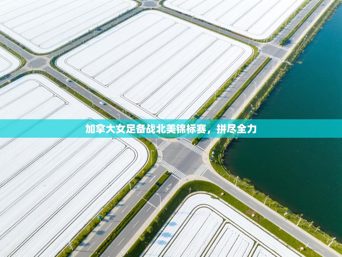 开云体育直播-加拿大女足备战北美锦标赛,拼尽全力 第2张