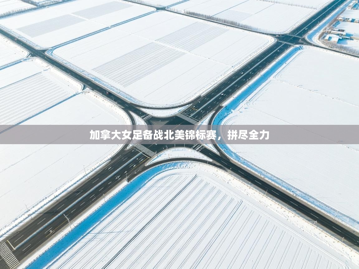 开云体育直播-加拿大女足备战北美锦标赛,拼尽全力 第3张