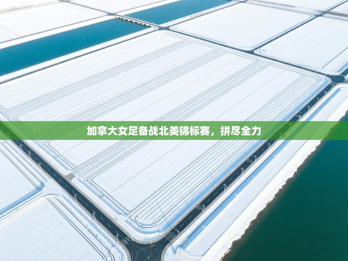开云体育直播-加拿大女足备战北美锦标赛,拼尽全力 第4张