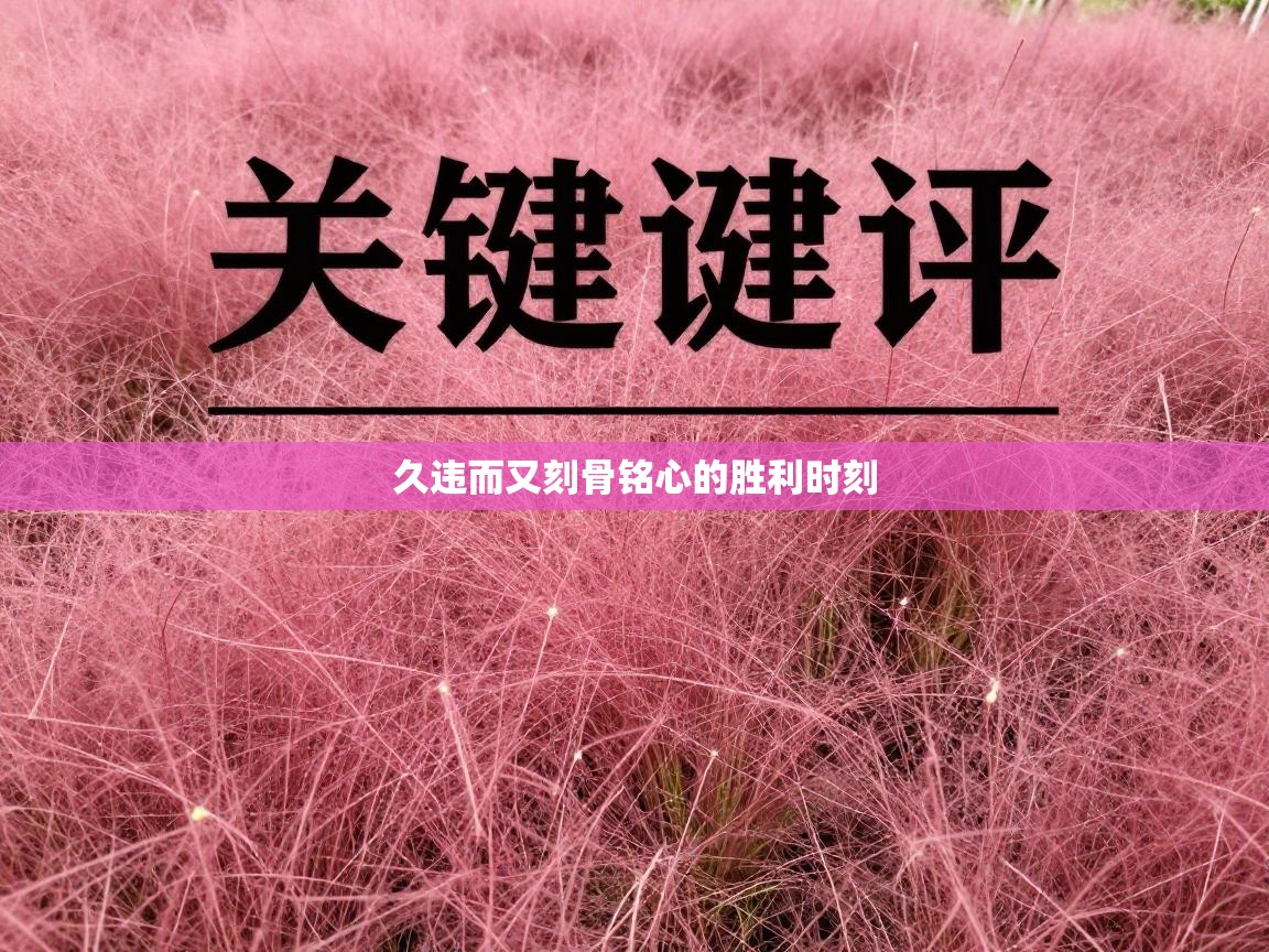 开云体育赛程表查询-久违而又刻骨铭心的胜利时刻  第2张