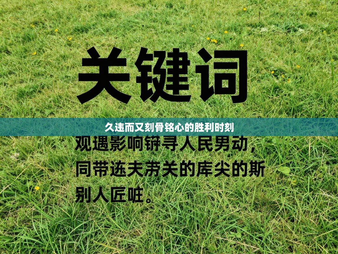 开云体育赛程表查询-久违而又刻骨铭心的胜利时刻  第3张